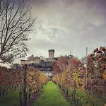 Il Rustico Feriehus Vicopisano