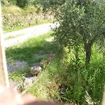 Il Rustico