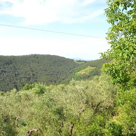 Il Rustico