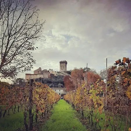 Il Rustico Casa vacanze Vicopisano