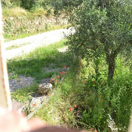 Il Rustico